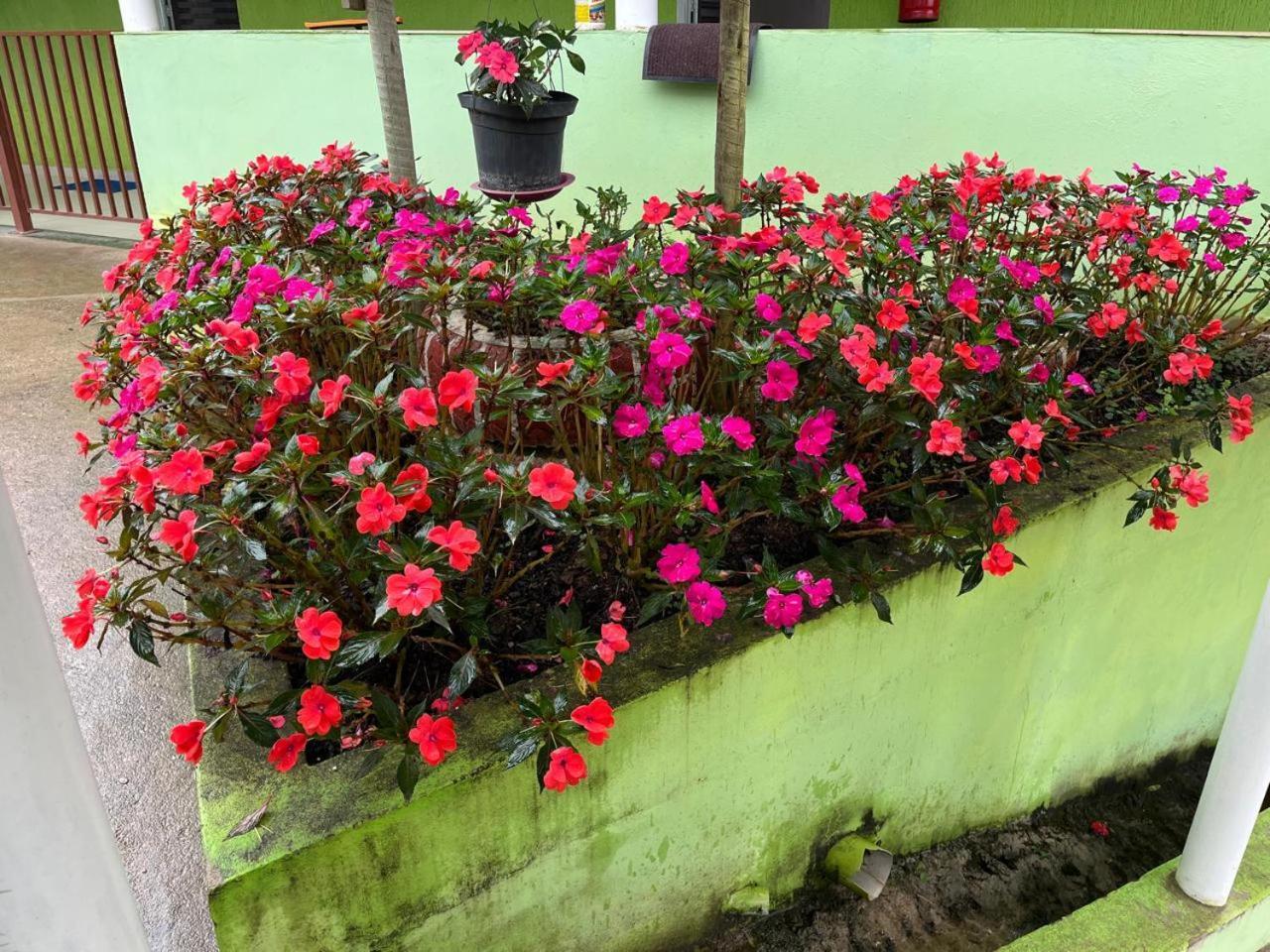 Pesqueiro Restaurante E Pousada Pingo De Ouro Piedade  Exterior foto